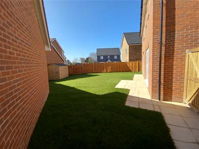 Picture 18